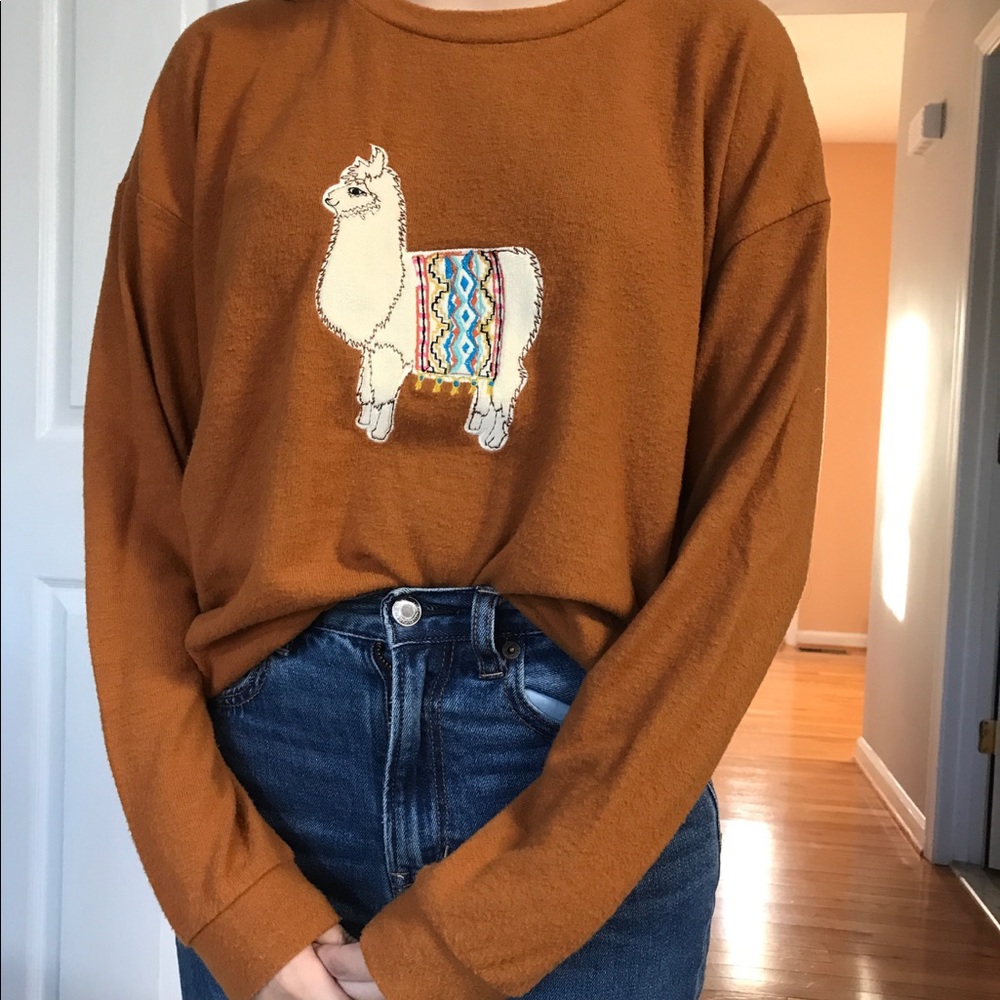 Llama Sweater